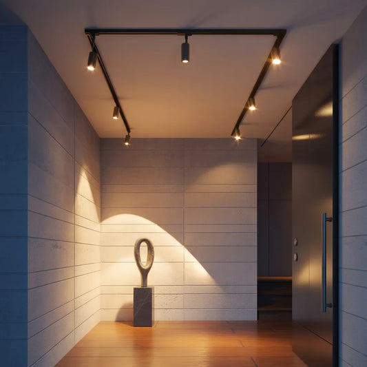 Ceiling Lights: Track Lights
