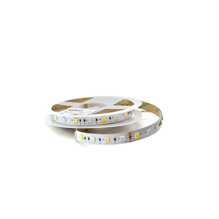 CL-ST-SMD5050-60-10-2420-RGBW
