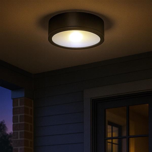 Black ceiling light, by WAC, for hallway, bedroom, or entryway, angled view