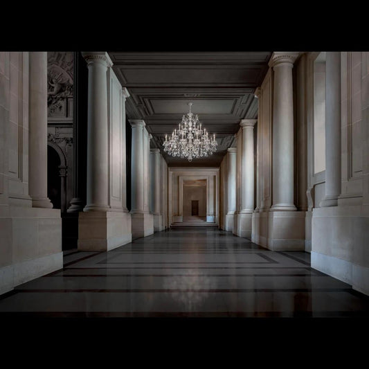 Black pearl chandelier, by Schonbek